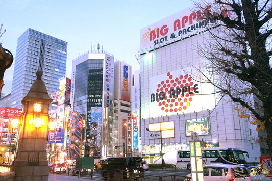 Akihabara Bright Lights