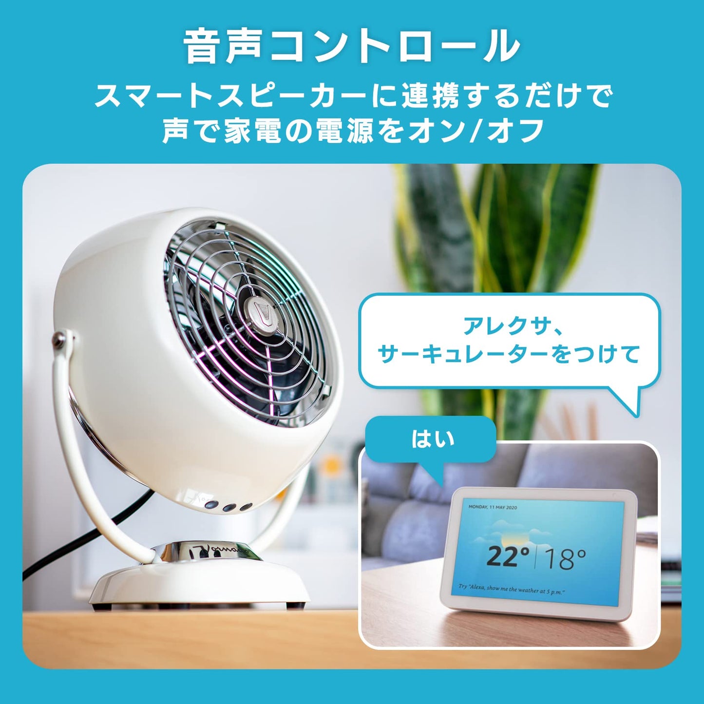 コンセント 2個セット